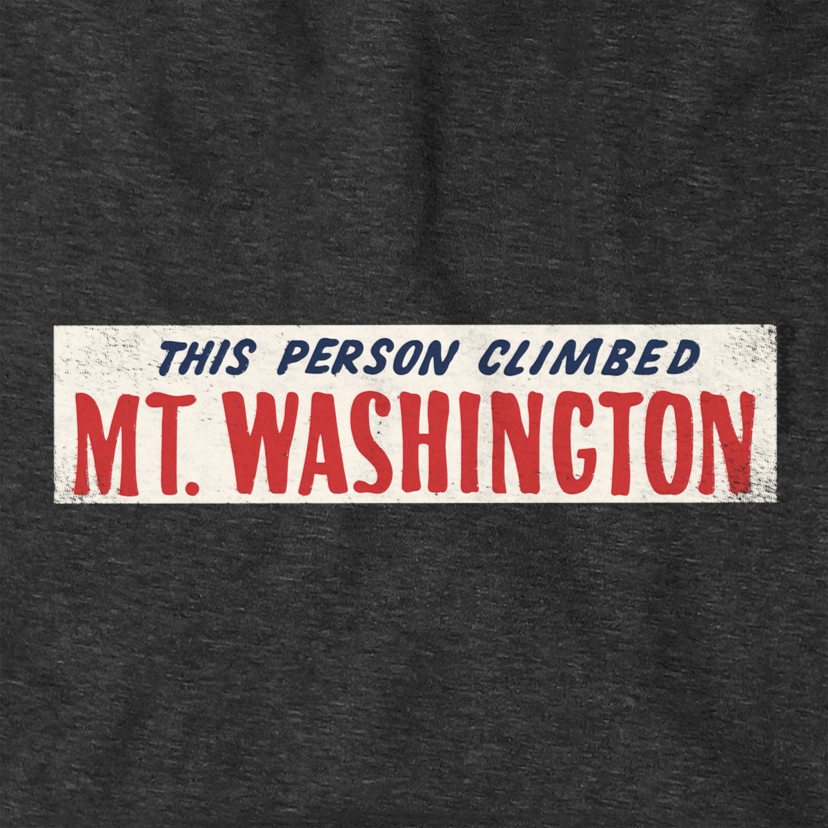 This Person Climbed Mt. Washington Hoodie