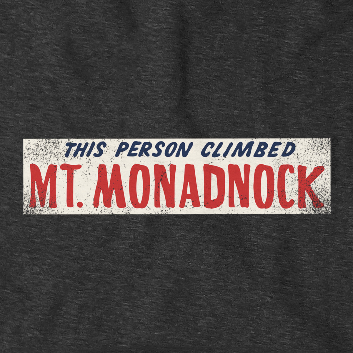 This Person Climbed Mt. Monadnock Hoodie
