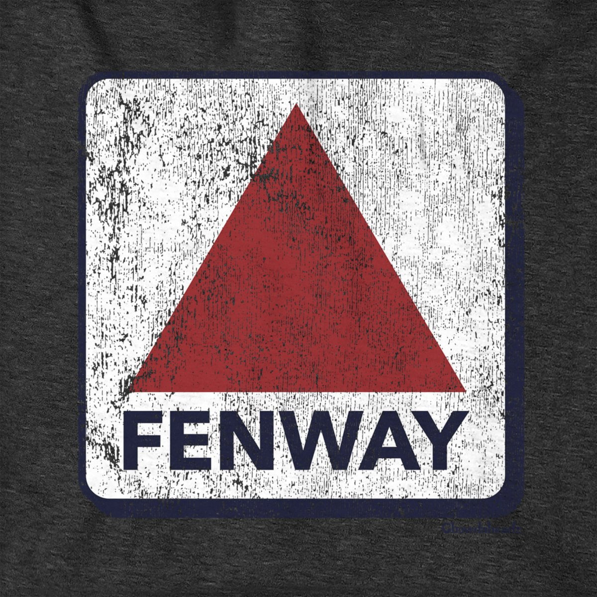Fenway Sign Hoodie