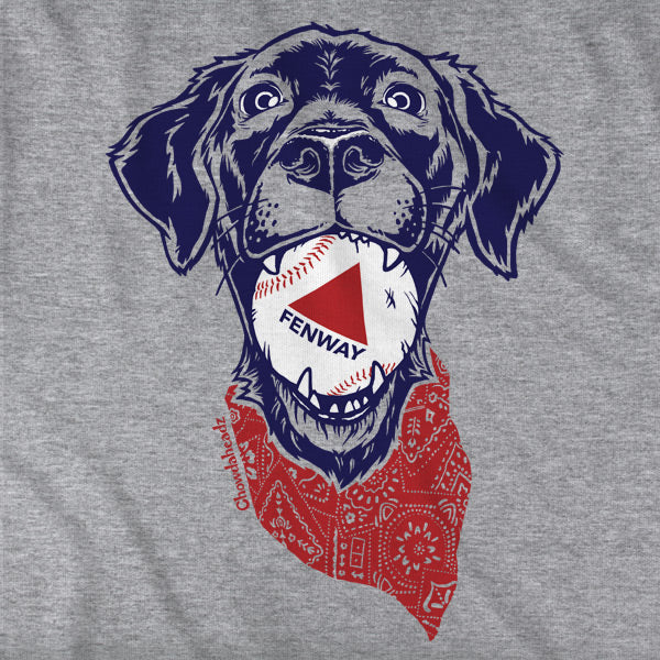 Fenway Dog Tailgater Hoodie