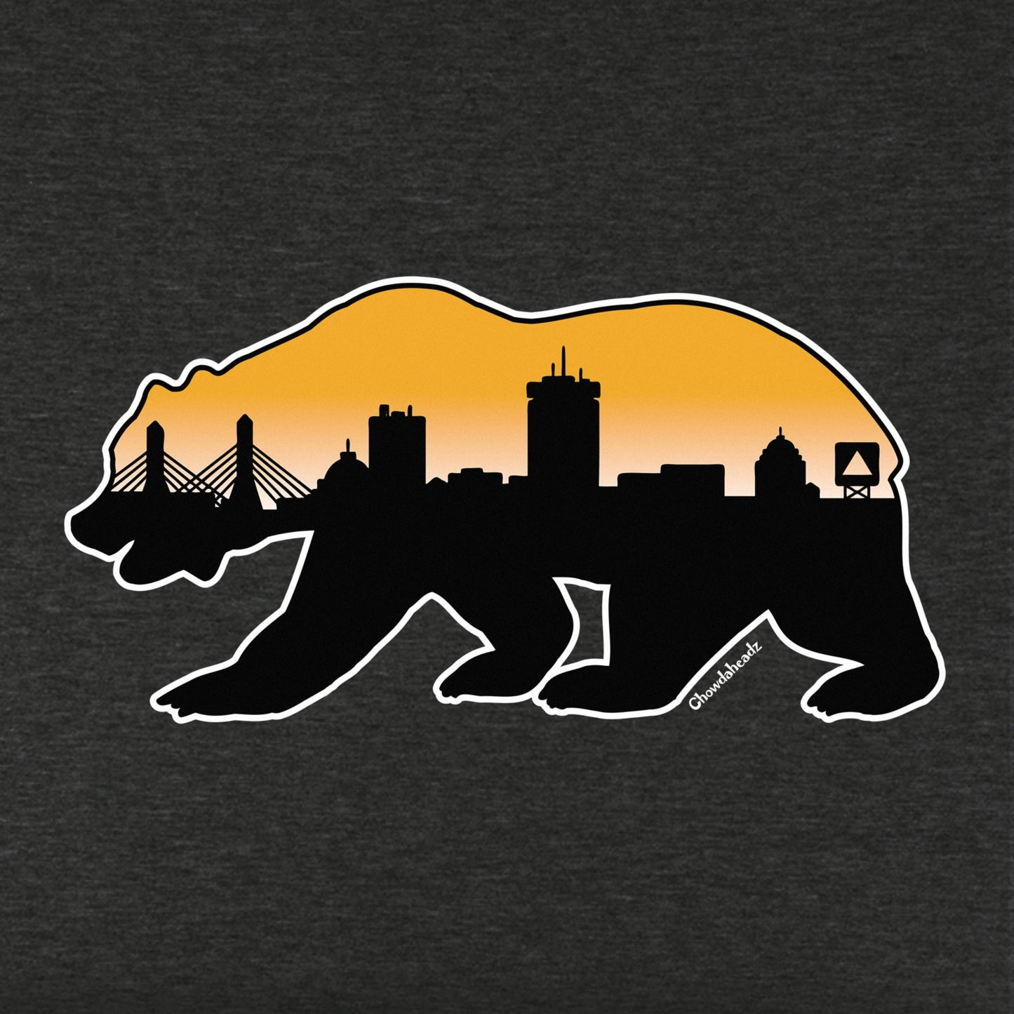 Boston Bear Skyline Youth Hoodie