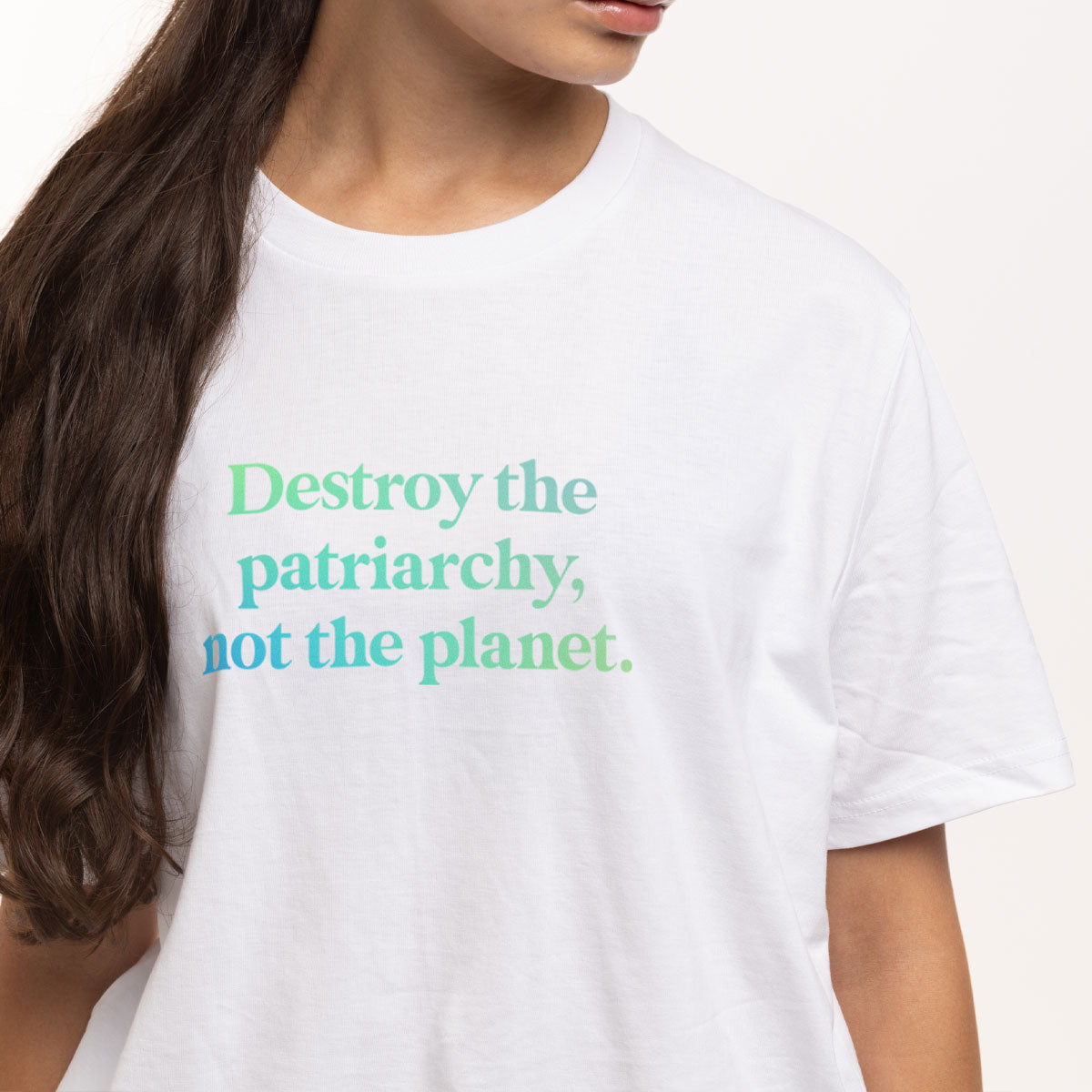 Destroy The Patriarchy Not The Planet T-Shirt