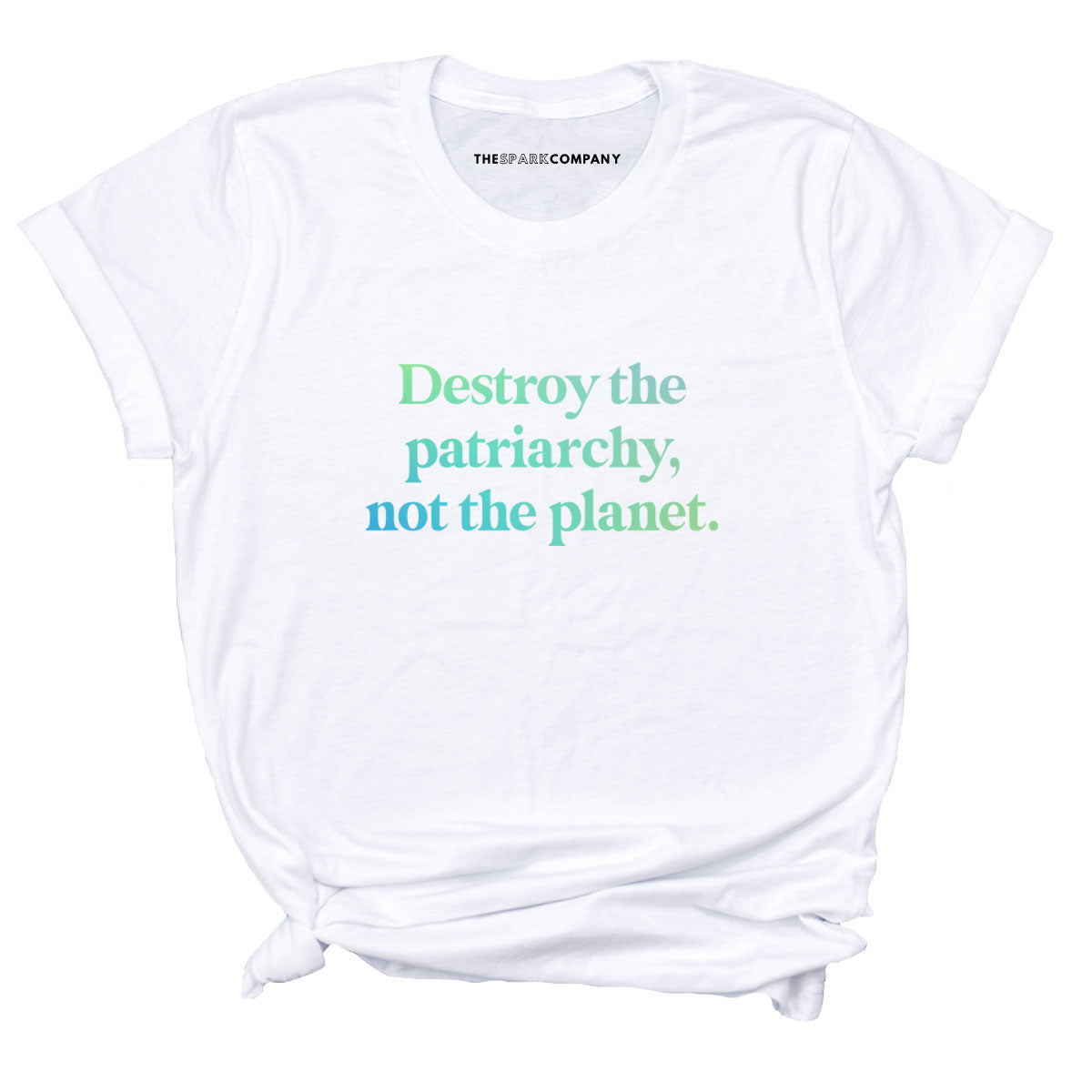 Destroy The Patriarchy Not The Planet T-Shirt