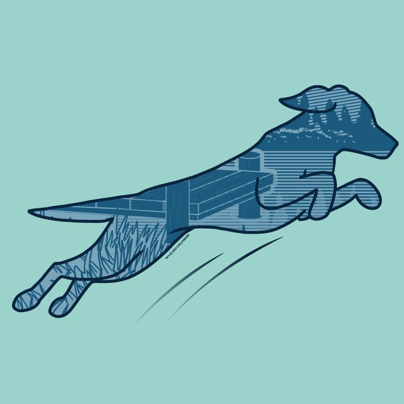Dock Diving - Classic Tee