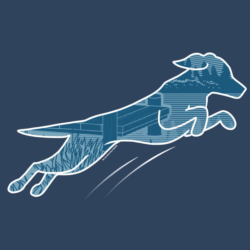 Dock Diving - Ladies T-Shirt V-Neck