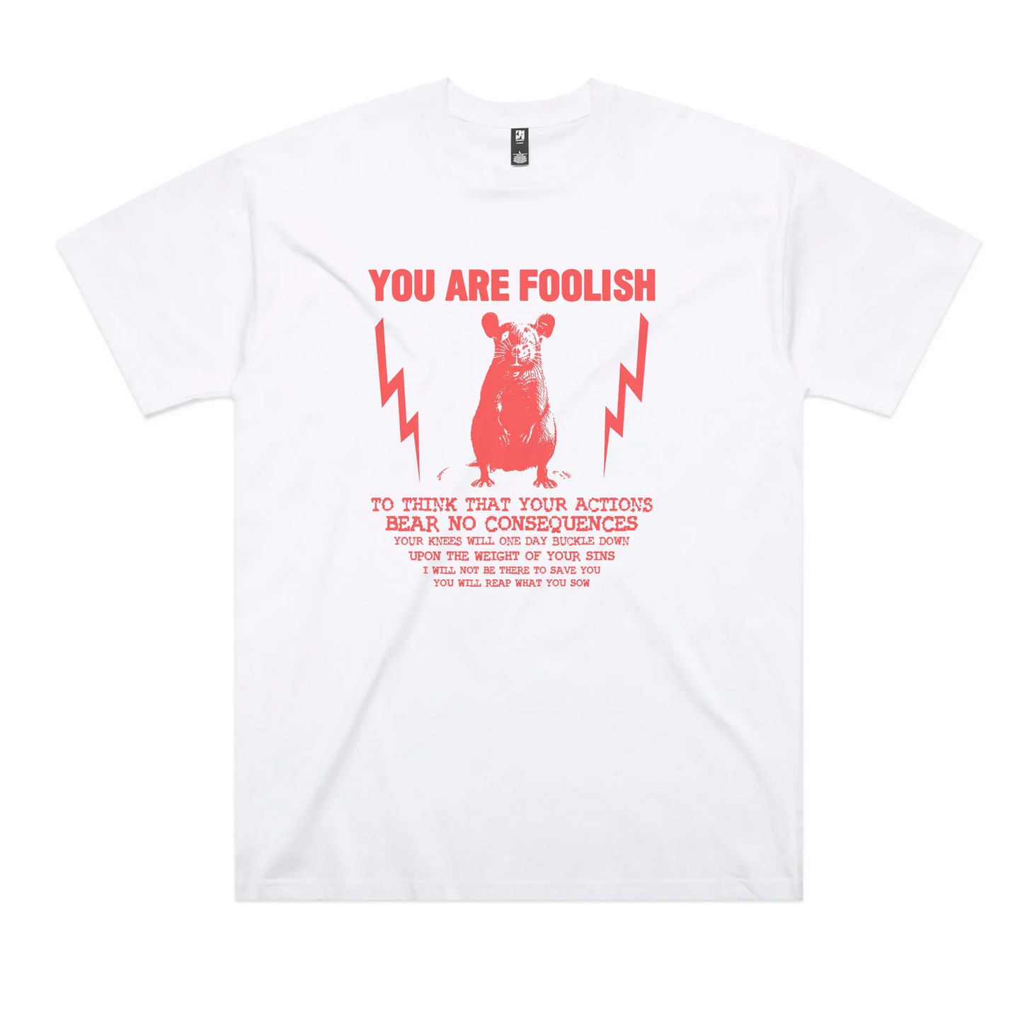 You Are Foolish Oversized Tee