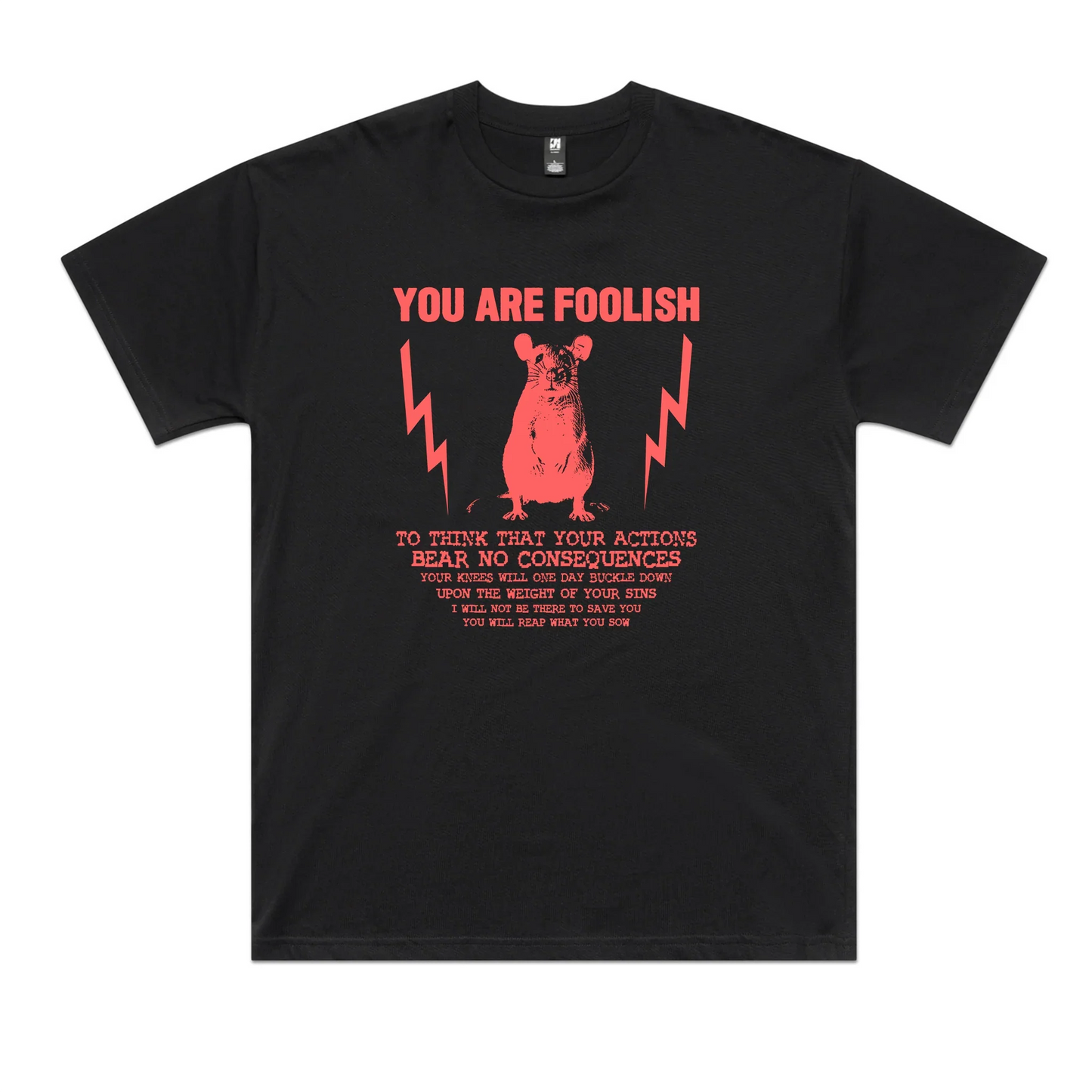 You Are Foolish Oversized Tee