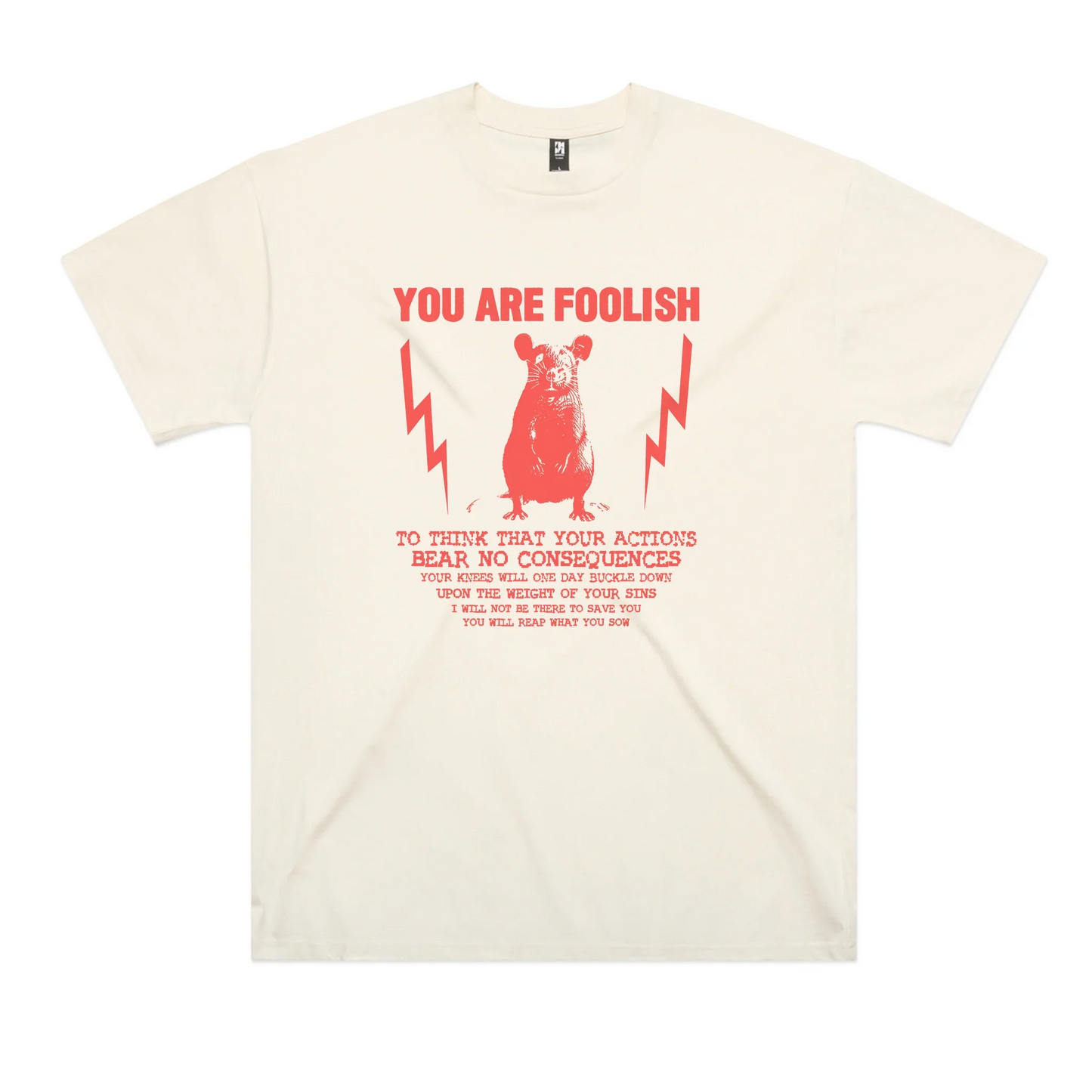 You Are Foolish Oversized Tee