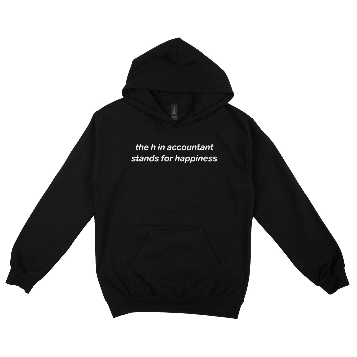 The 'H' in Accountant Stands For Happiness Hoodie
