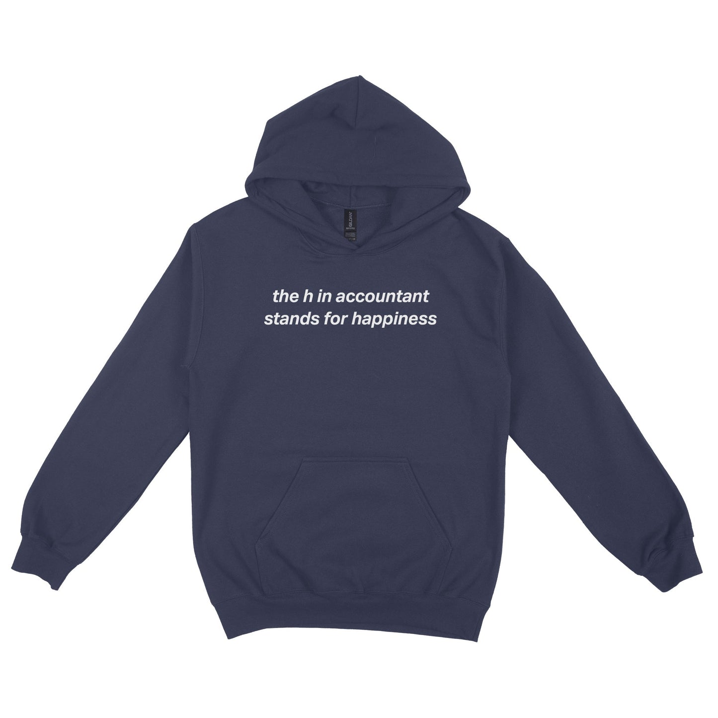 The 'H' in Accountant Stands For Happiness Hoodie