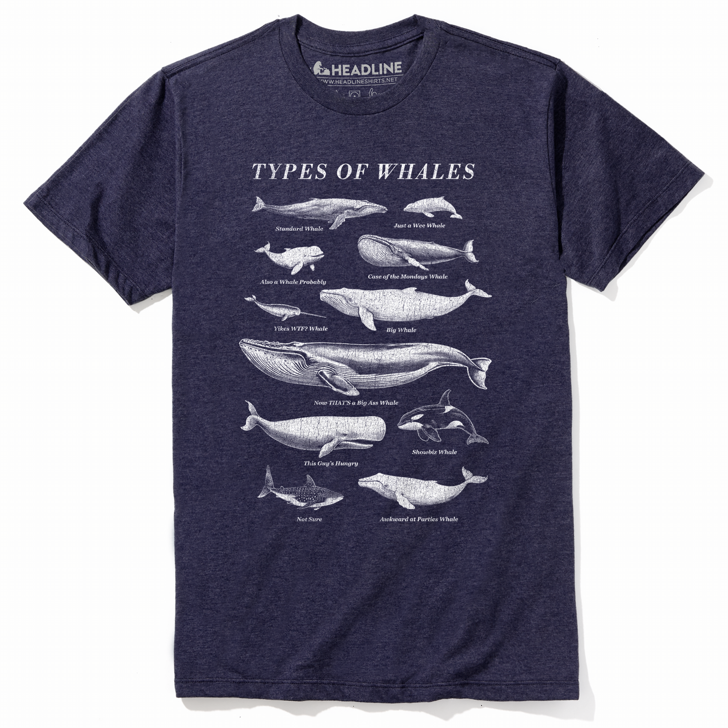 Types of Whales T-Shirt
