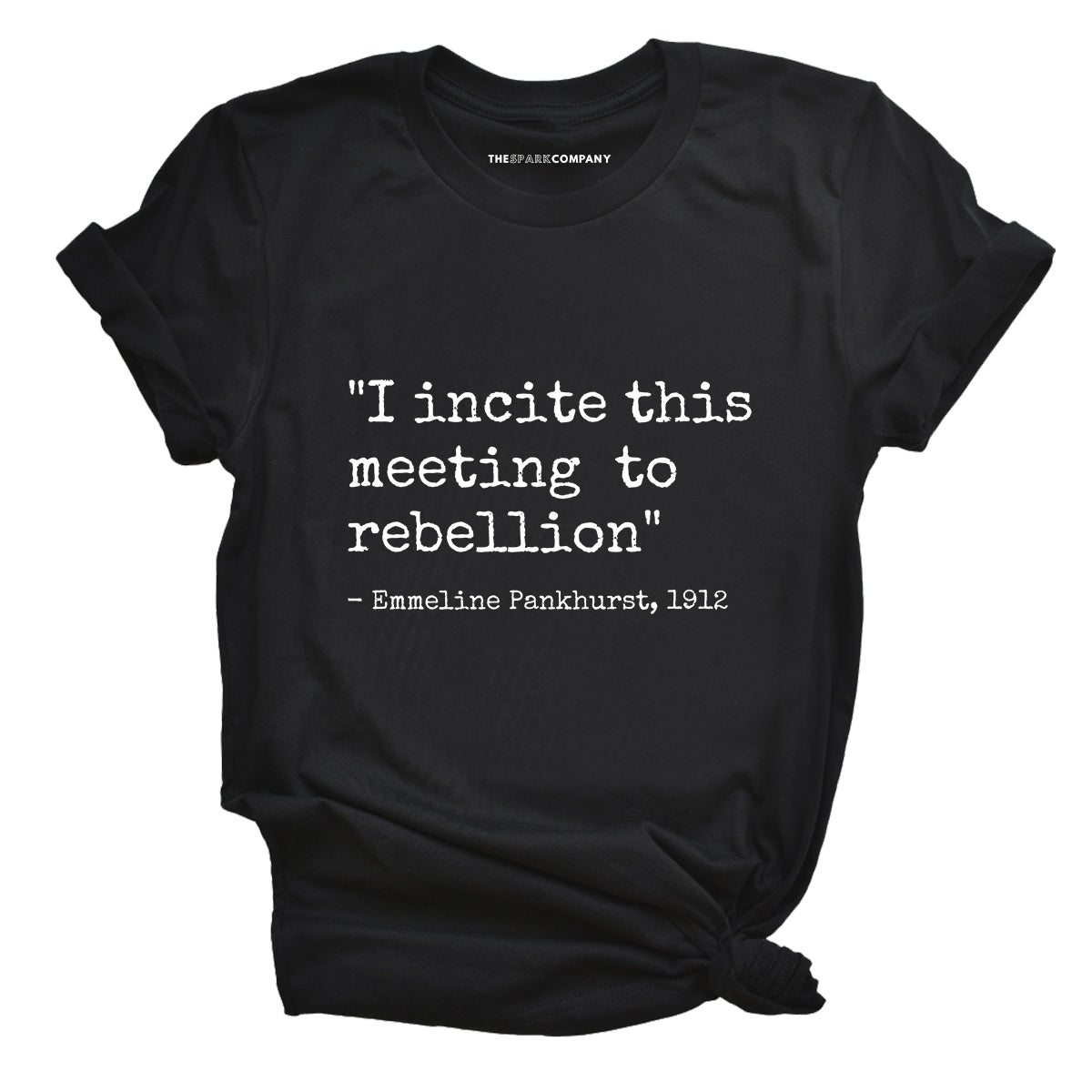 I Incite This Meeting To Rebellion T-Shirt
