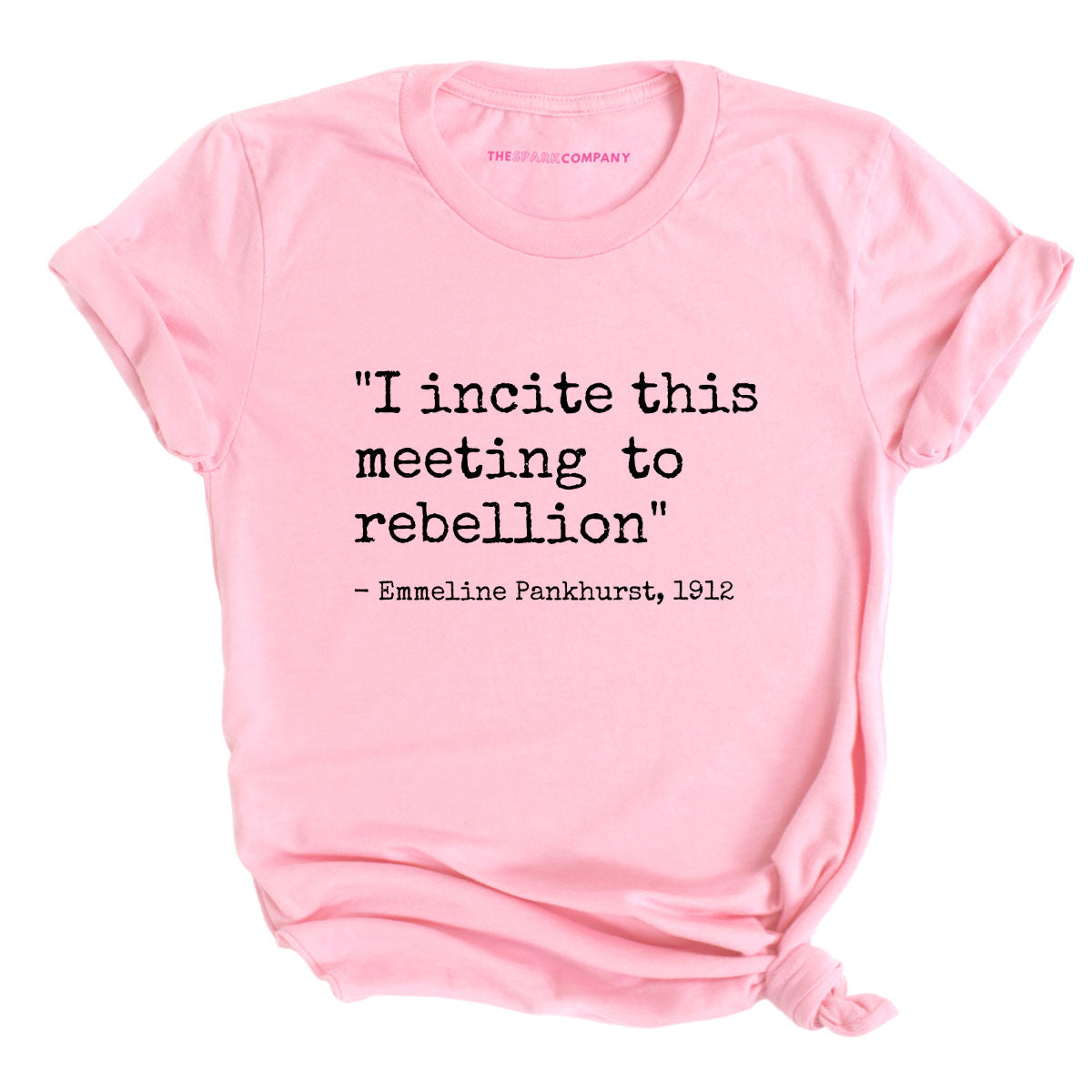I Incite This Meeting To Rebellion T-Shirt