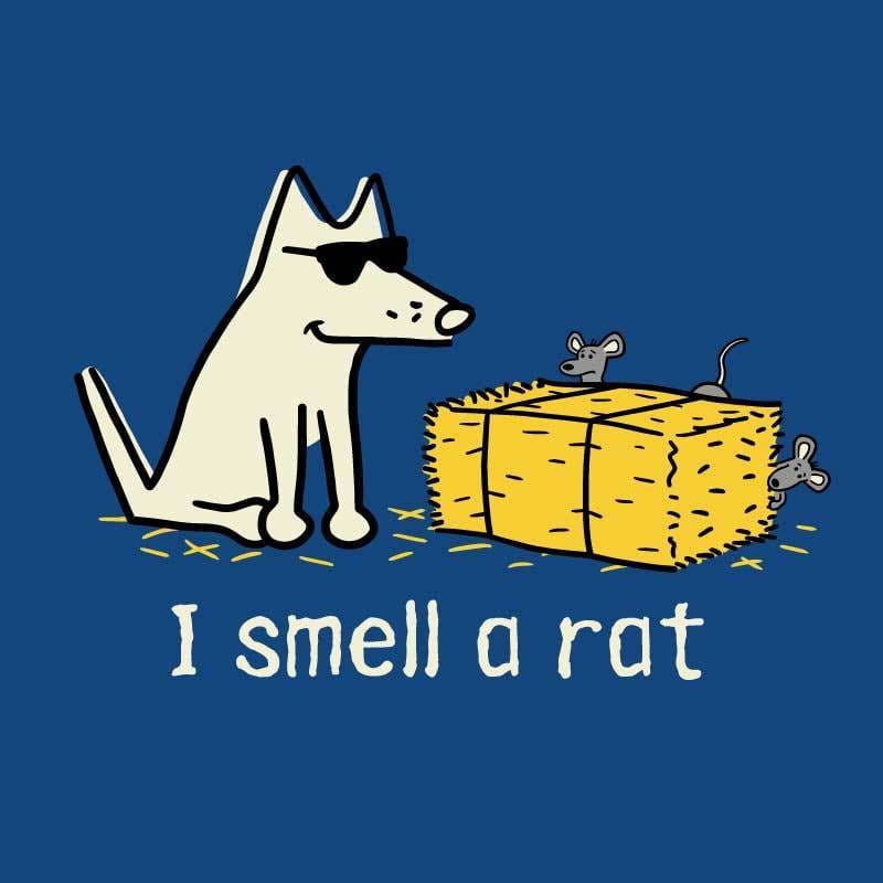 I Smell A Rat - Ladies T-Shirt V-Neck