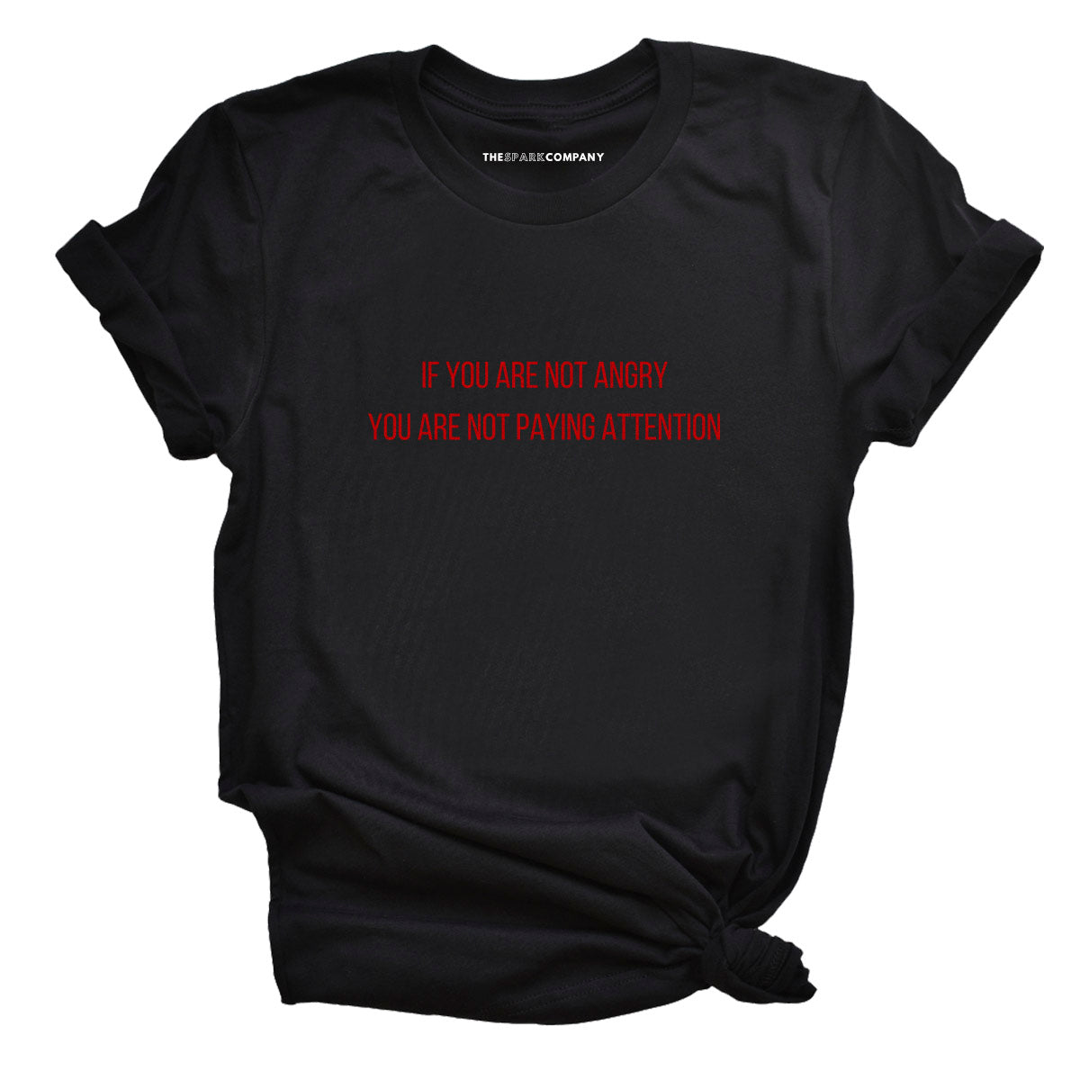 If You Are Not Angry You Are Not Paying Attention T-Shirt