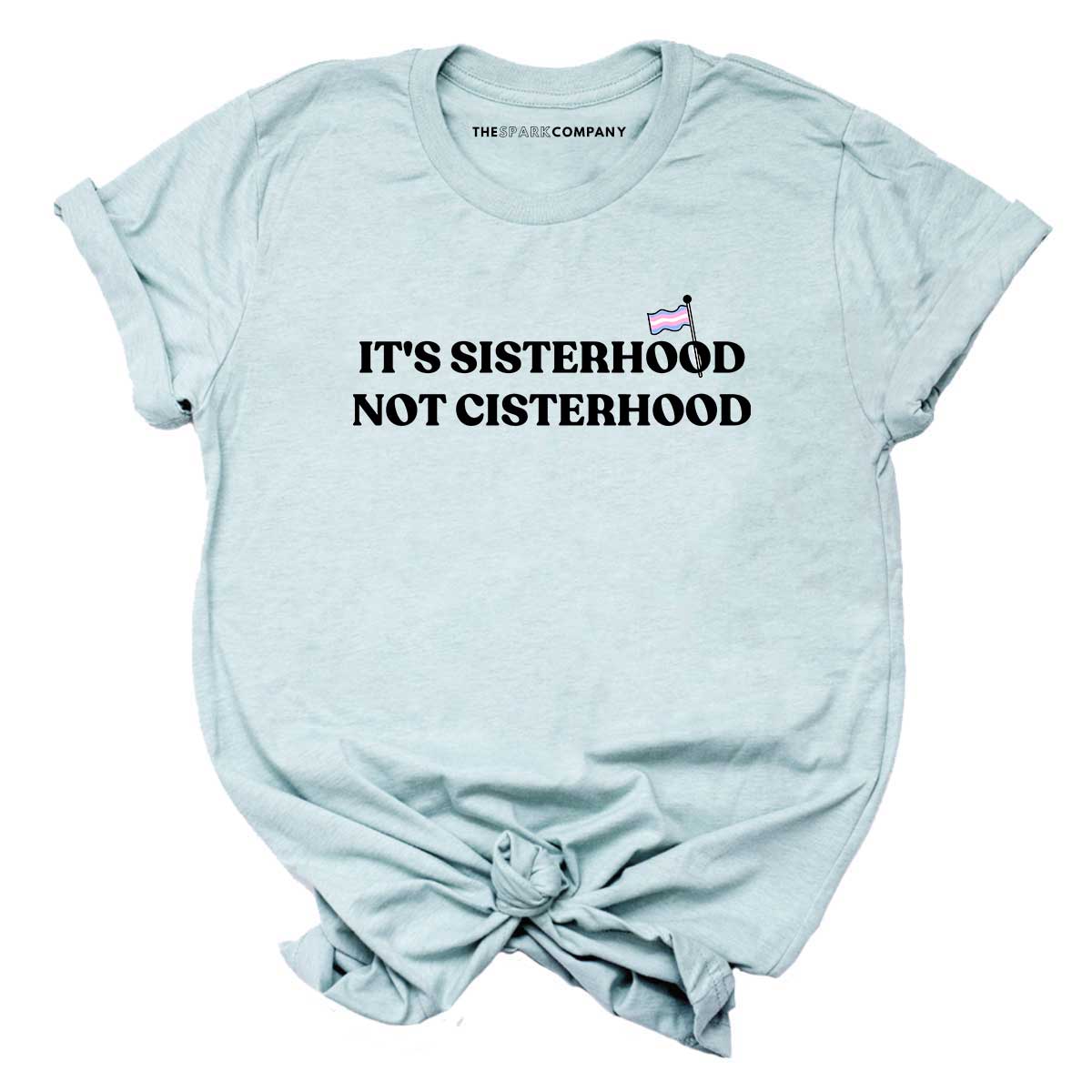 It's Sisterhood Not Cisterhood T-Shirt