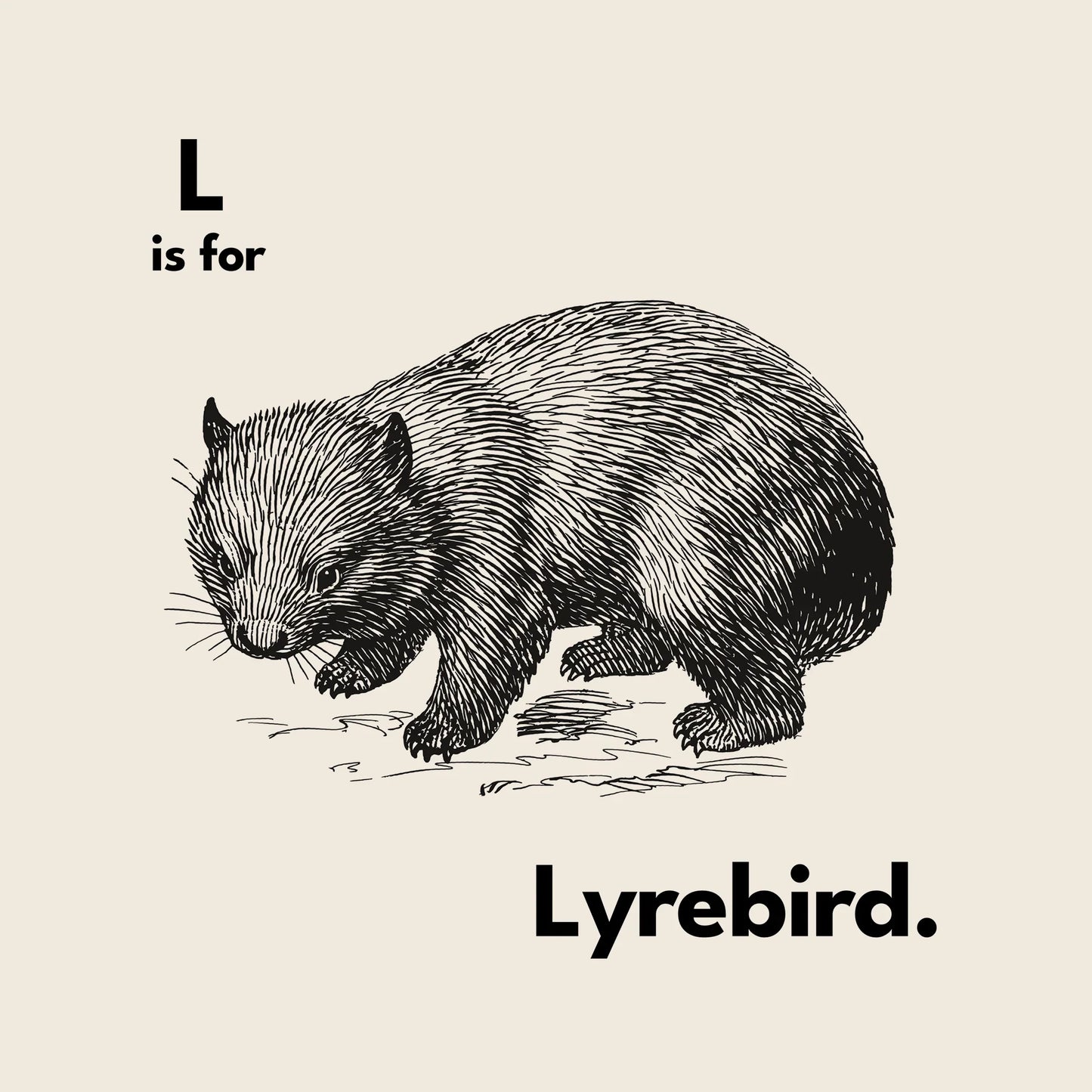 L Is For Lyrebird Oversized Tee