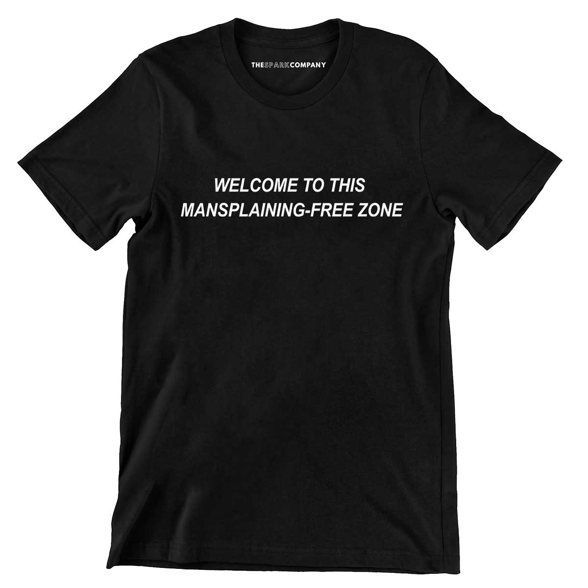 Mansplaining-Free Zone Men's T-Shirt