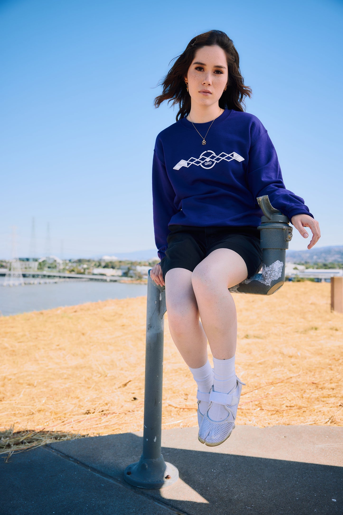 UNDER NIGHT IN-BIRTH - 'GRD' Crew Neck Sweatshirt - Purple