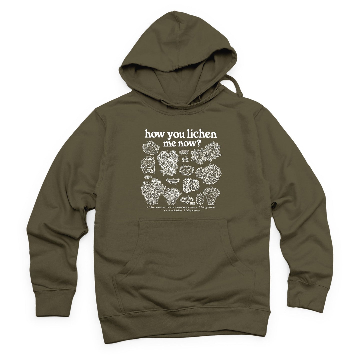 How You Lichen Me Now Midweight Pullover Hoodie