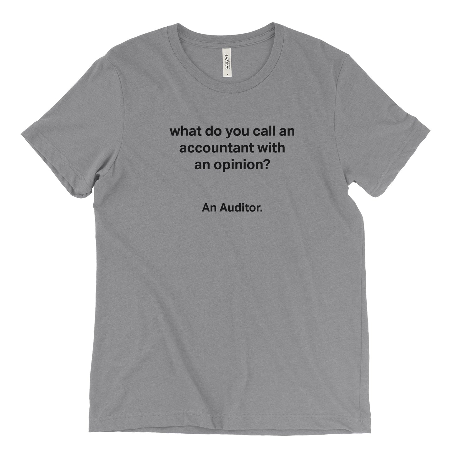 What Do You Call An Accountant With An Opinion? Tee