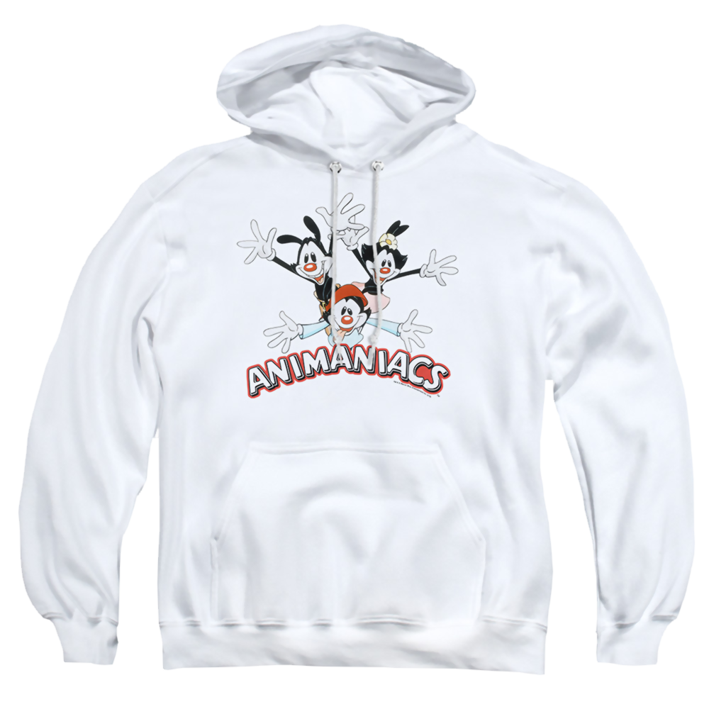 Animaniacs Animaniacs Trio - Pullover Hoodie