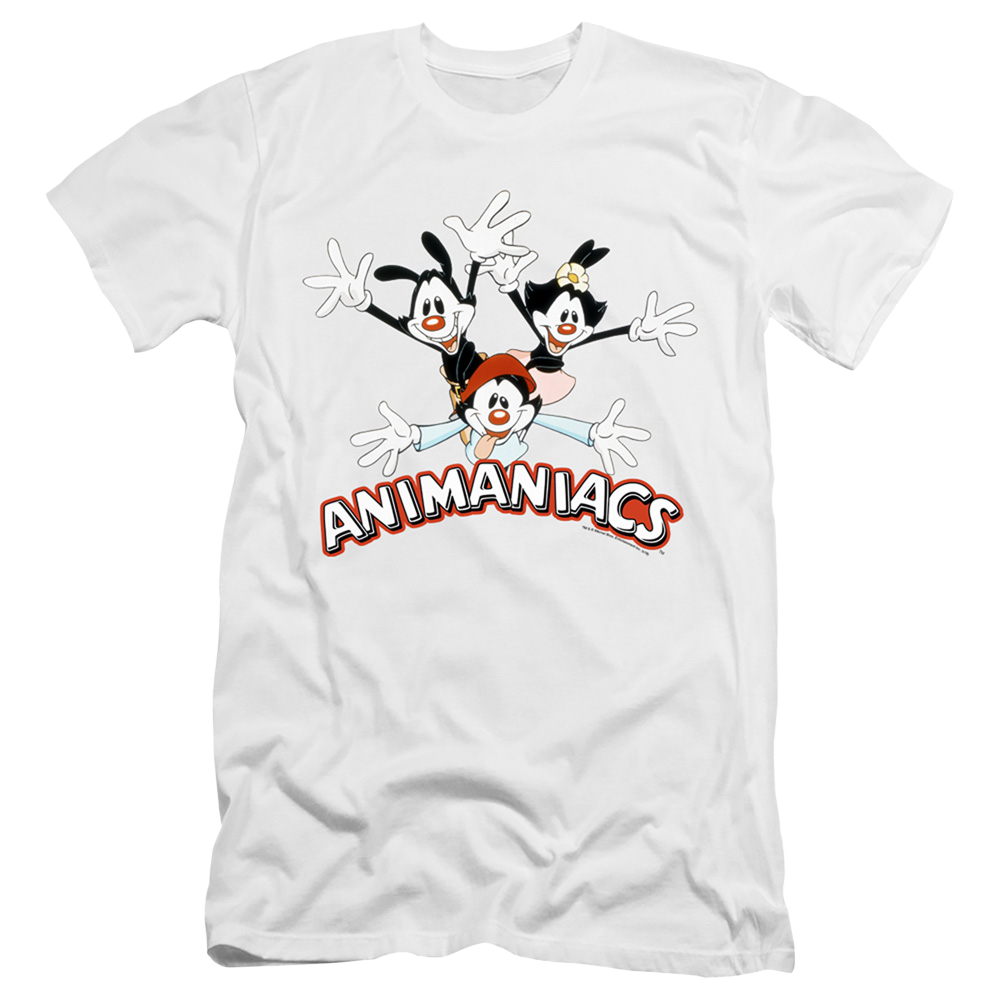 Animaniacs Animaniacs Trio - Men's Premium Slim Fit T-Shirt