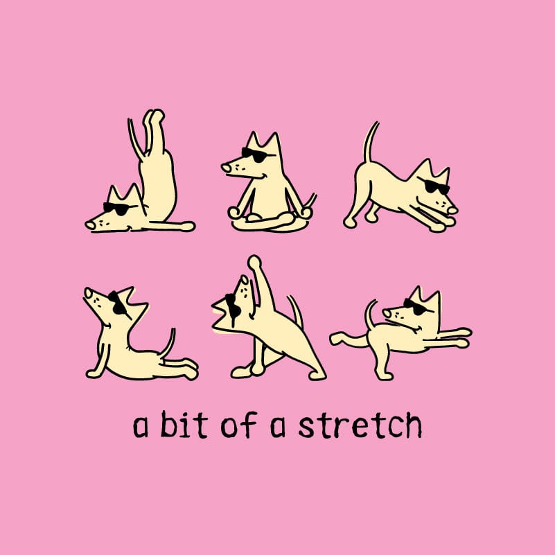 Bit of a Stretch - T-Shirt Ladies V-Neck