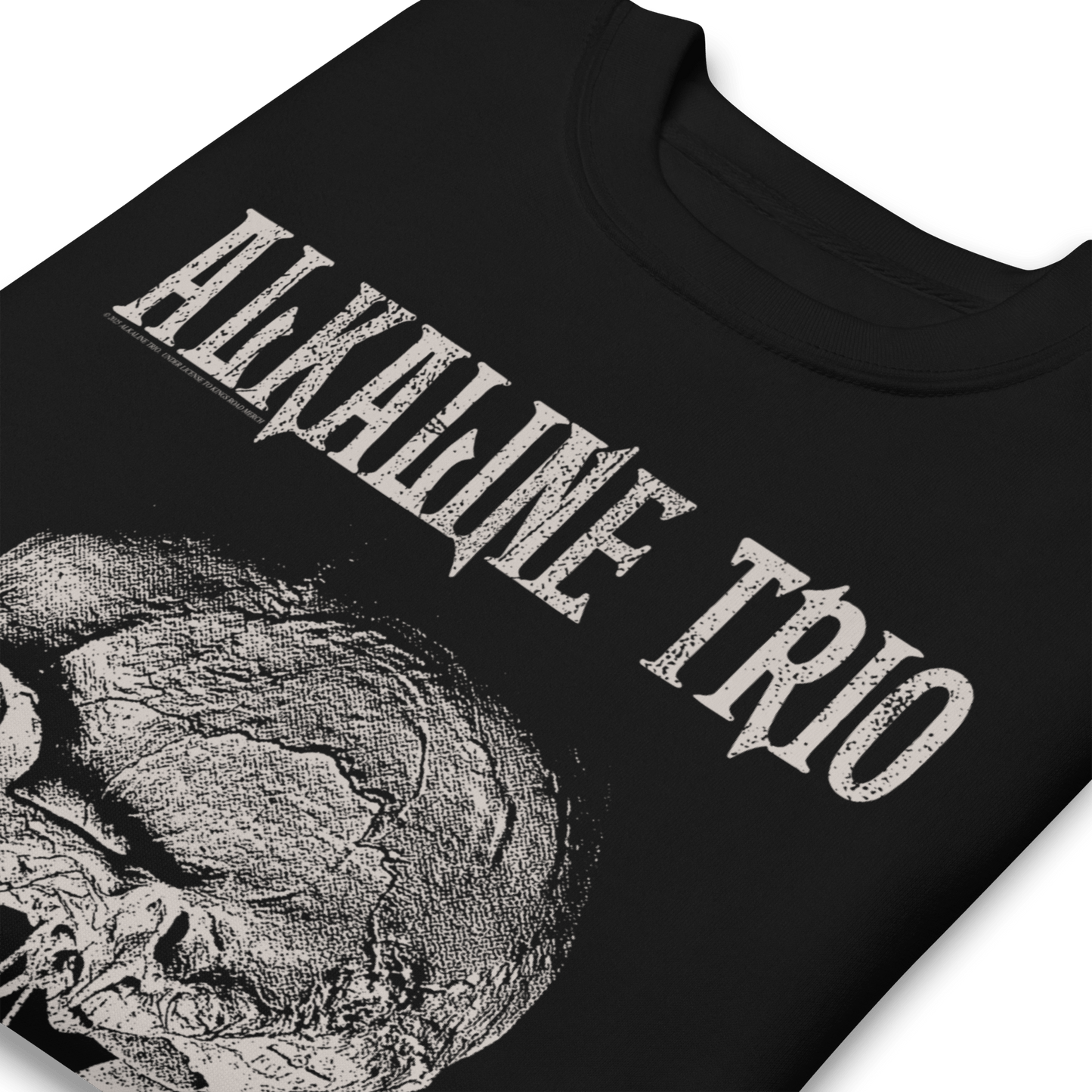 Alkaline Trio Roses Blooming Sweatshirt