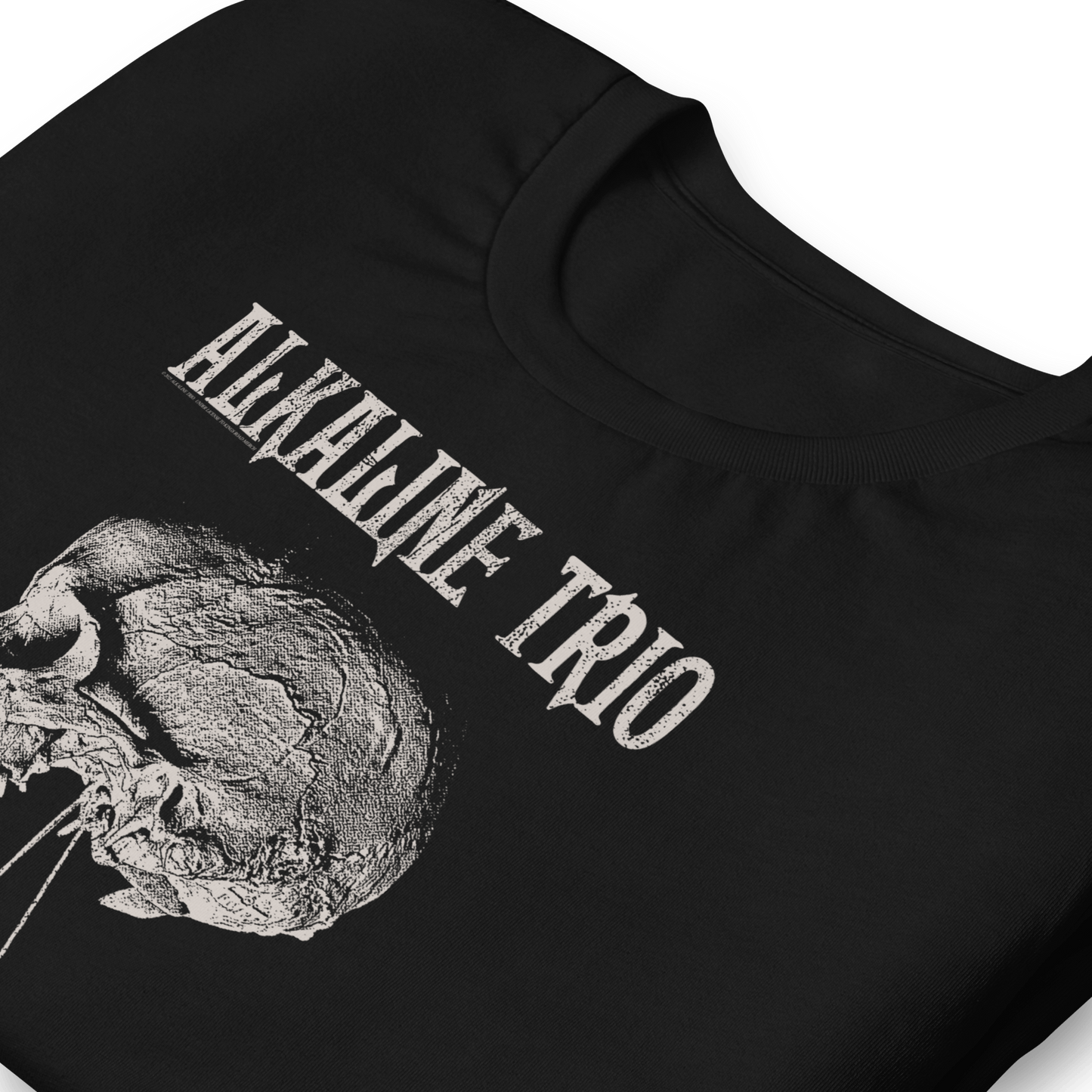 Alkaline Trio Roses Blooming T-Shirt