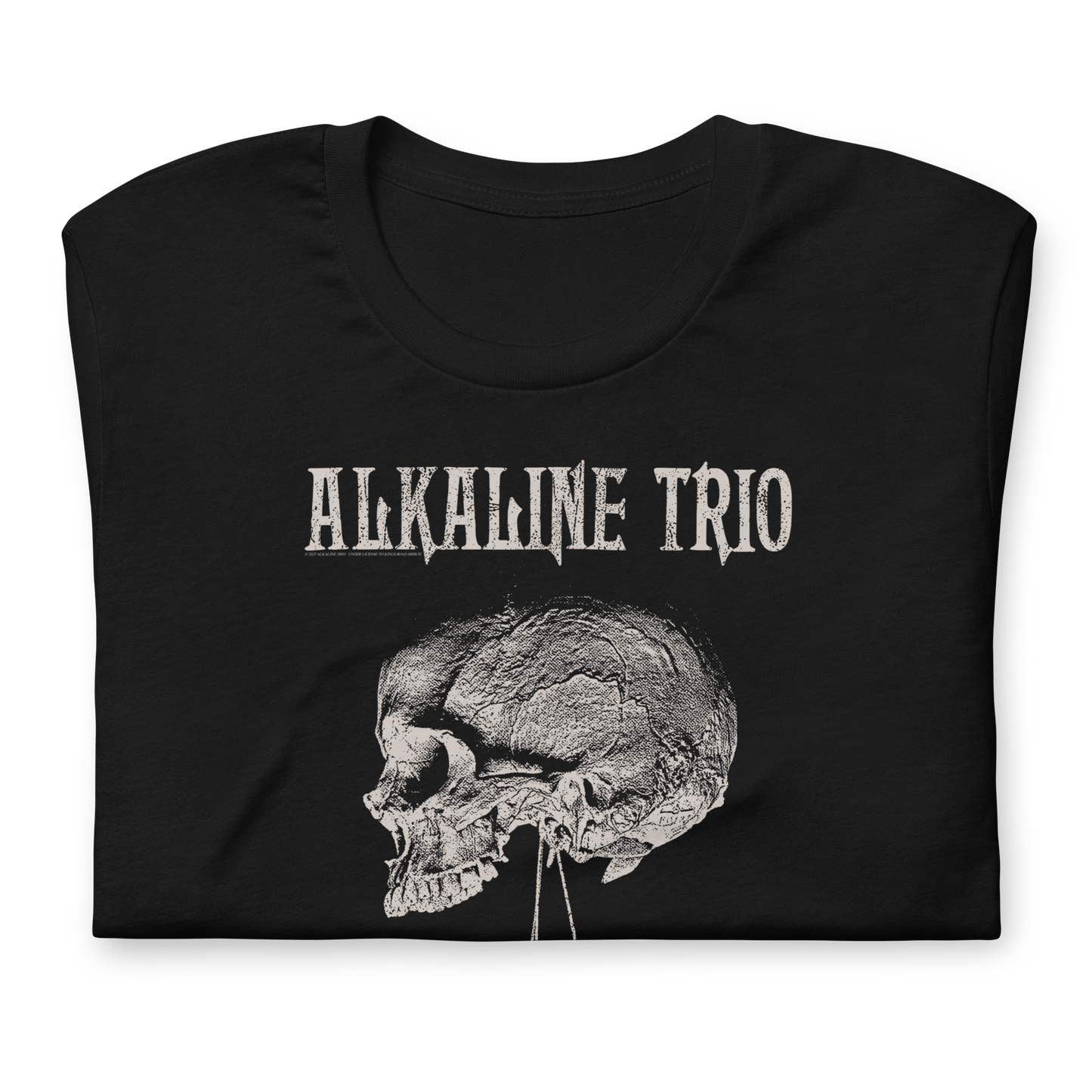 Alkaline Trio Roses Blooming T-Shirt