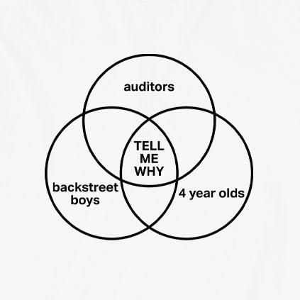 Auditor Tell Me Why Tee