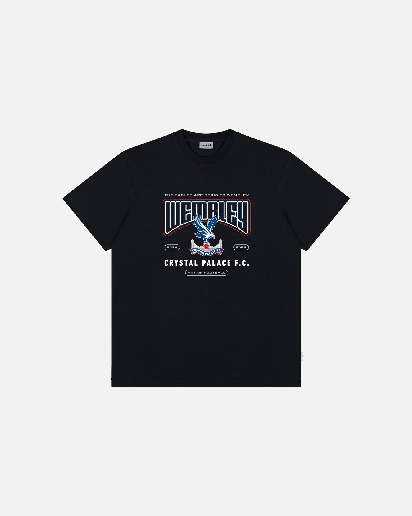 CPFC Palace Cup Finalist 2025 Tee