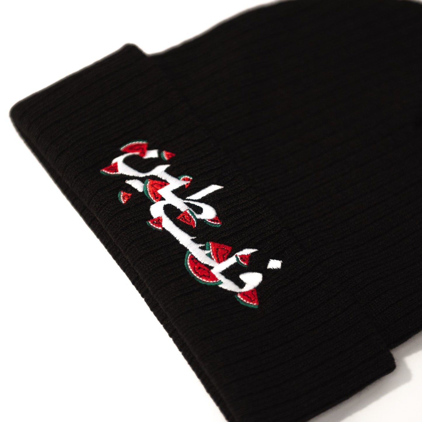 Falasteen Embroidered Beanie