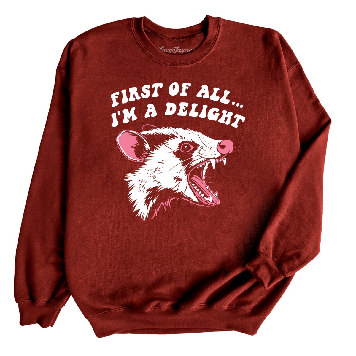 First Of All I'm A Delight Sweatshirt