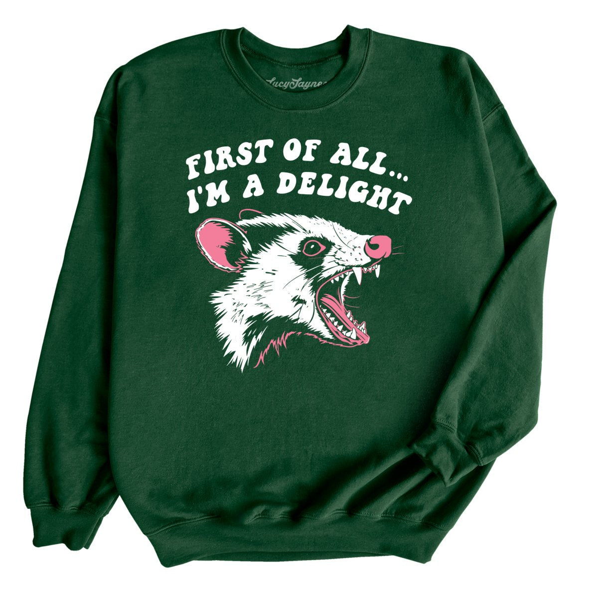 First Of All I'm A Delight Sweatshirt
