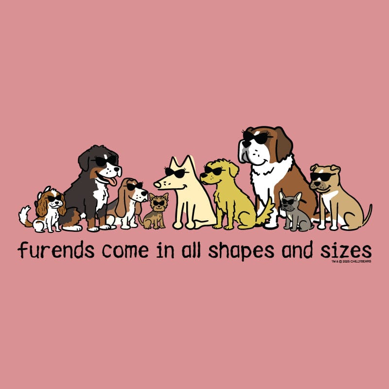 Furends Come in All Shapes and Sizes - Ladies T-Shirt V-Neck
