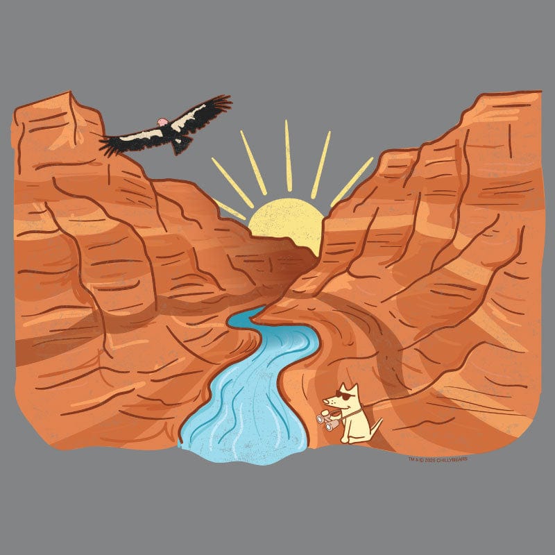 Grand Canyon - Ladies T-Shirt V-Neck