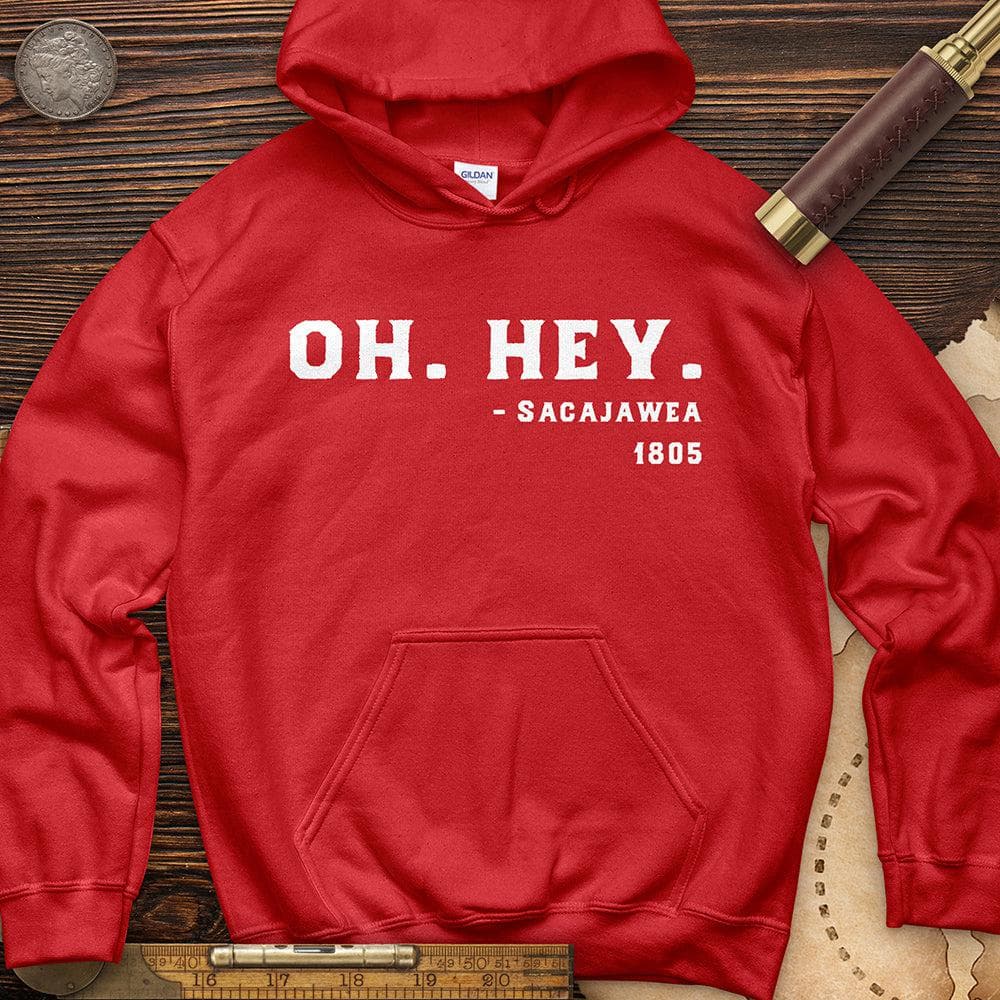 Sacajawea I Got This Hoodie