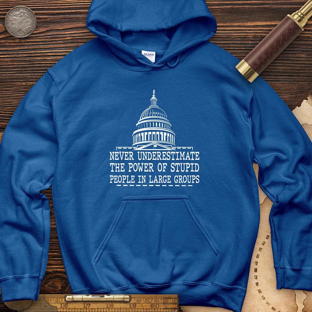 Stupid People In Large Groups Hoodie