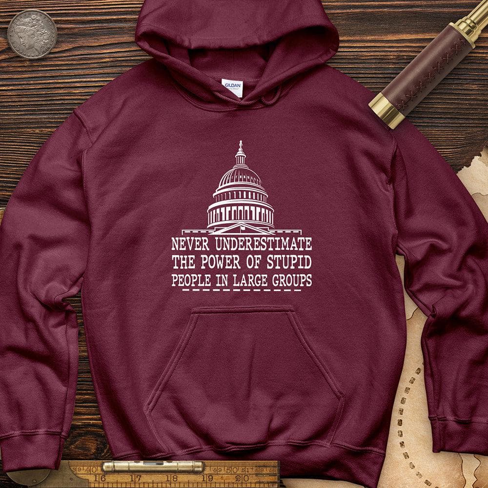 Stupid People In Large Groups Hoodie