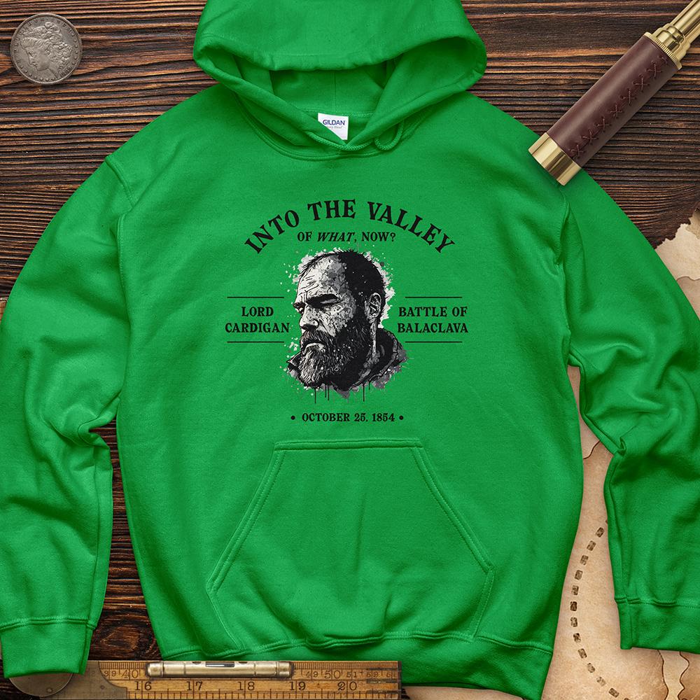 Valley Of What Now Hoodie