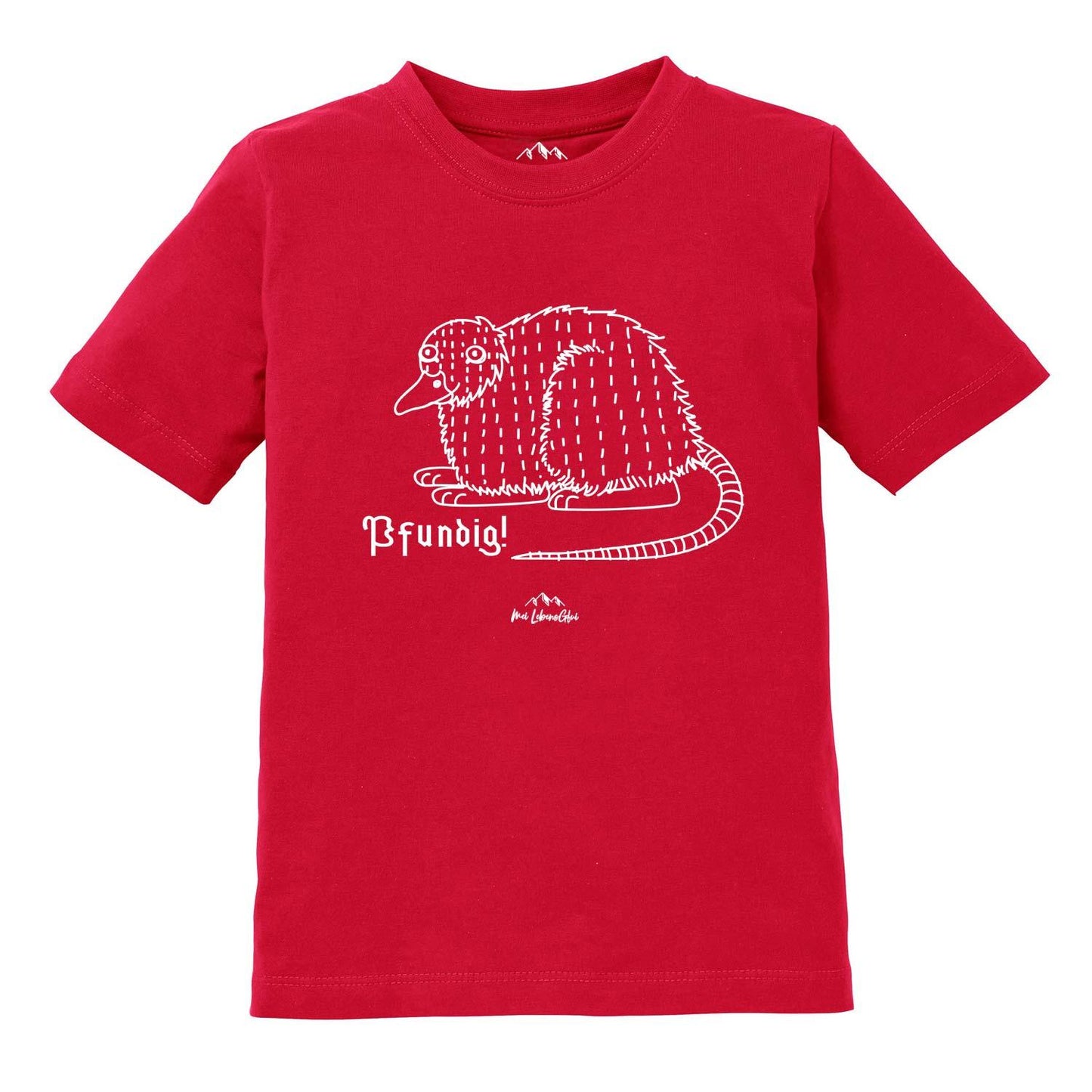 Kinder T-Shirt Wolpertinger "Pfundig"