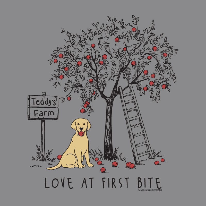 Love at First Bite - Ladies Curvy V-Neck Tee