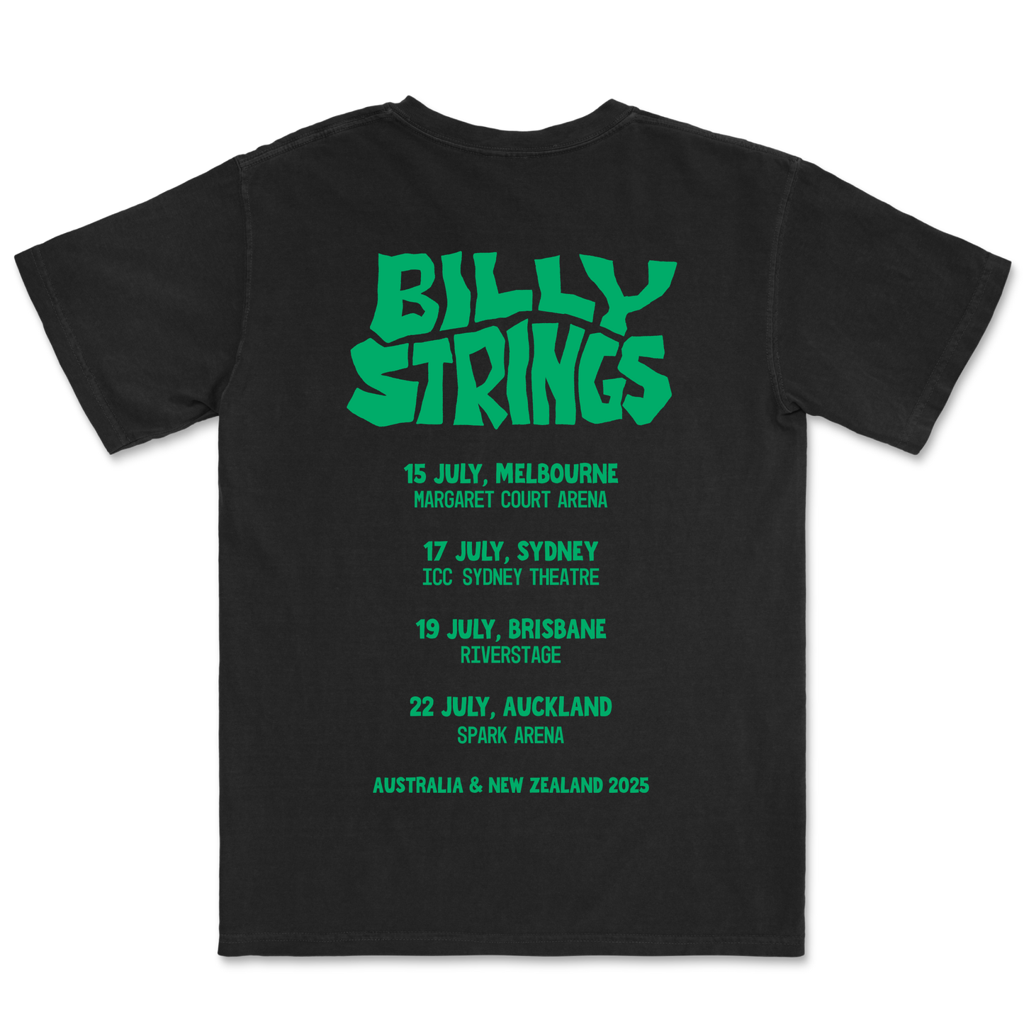 Billy Strings / Snake Tee (Black)