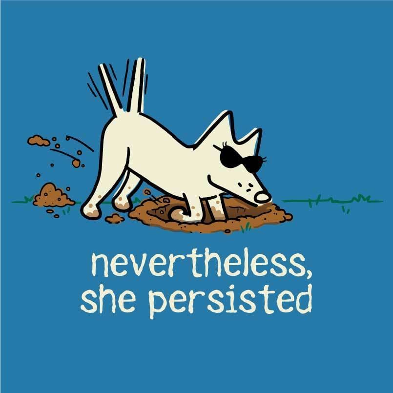Nevertheless, She Persisted - Ladies T-Shirt V-Neck