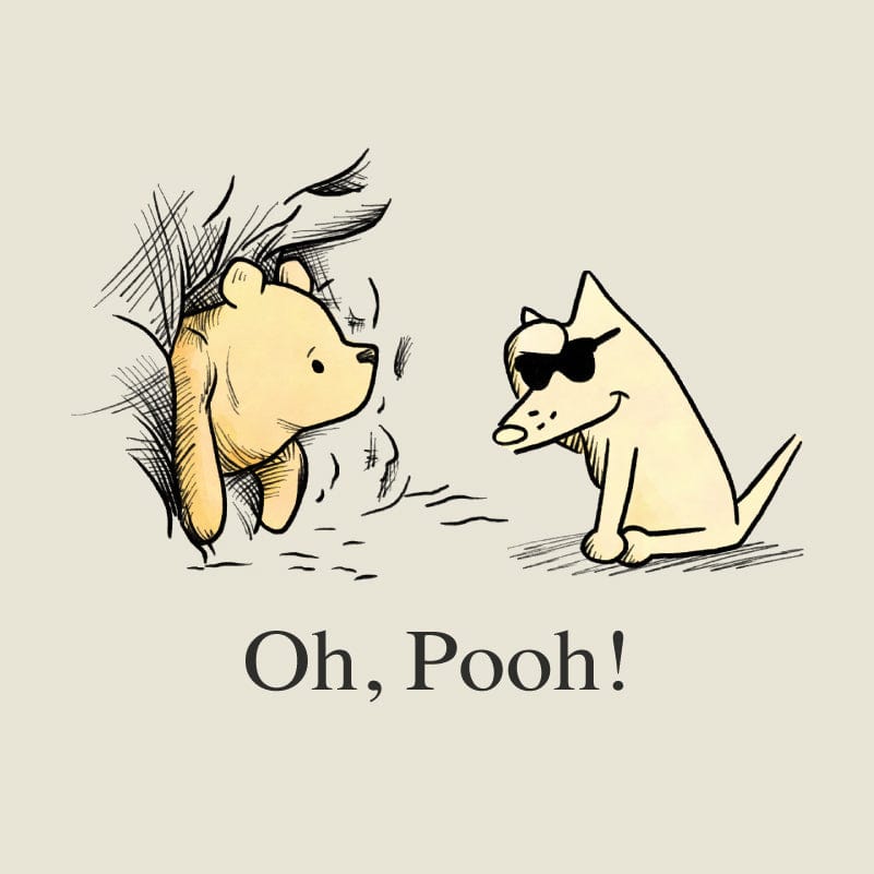 Oh Pooh - Ladies T-Shirt V-Neck