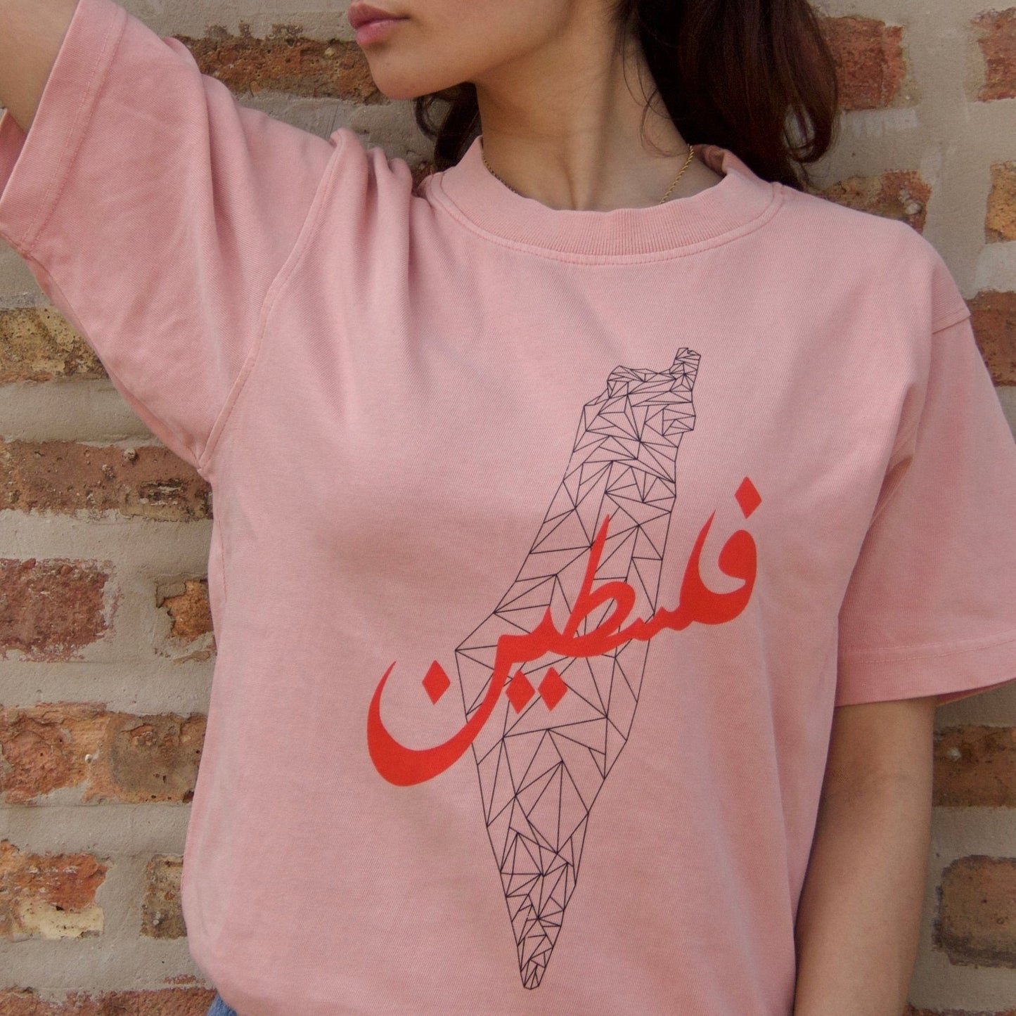 Palimetric Map Heavyweight Tee