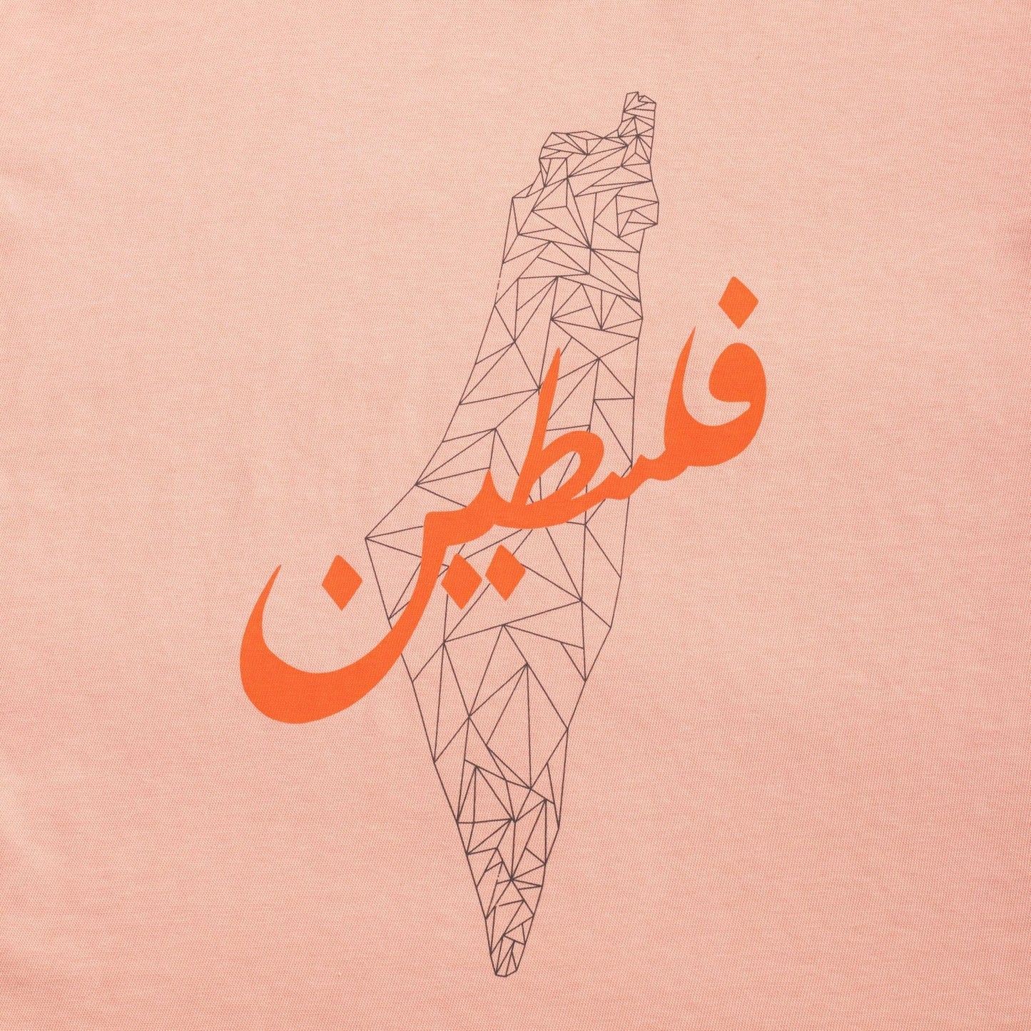 Palimetric Map Heavyweight Tee