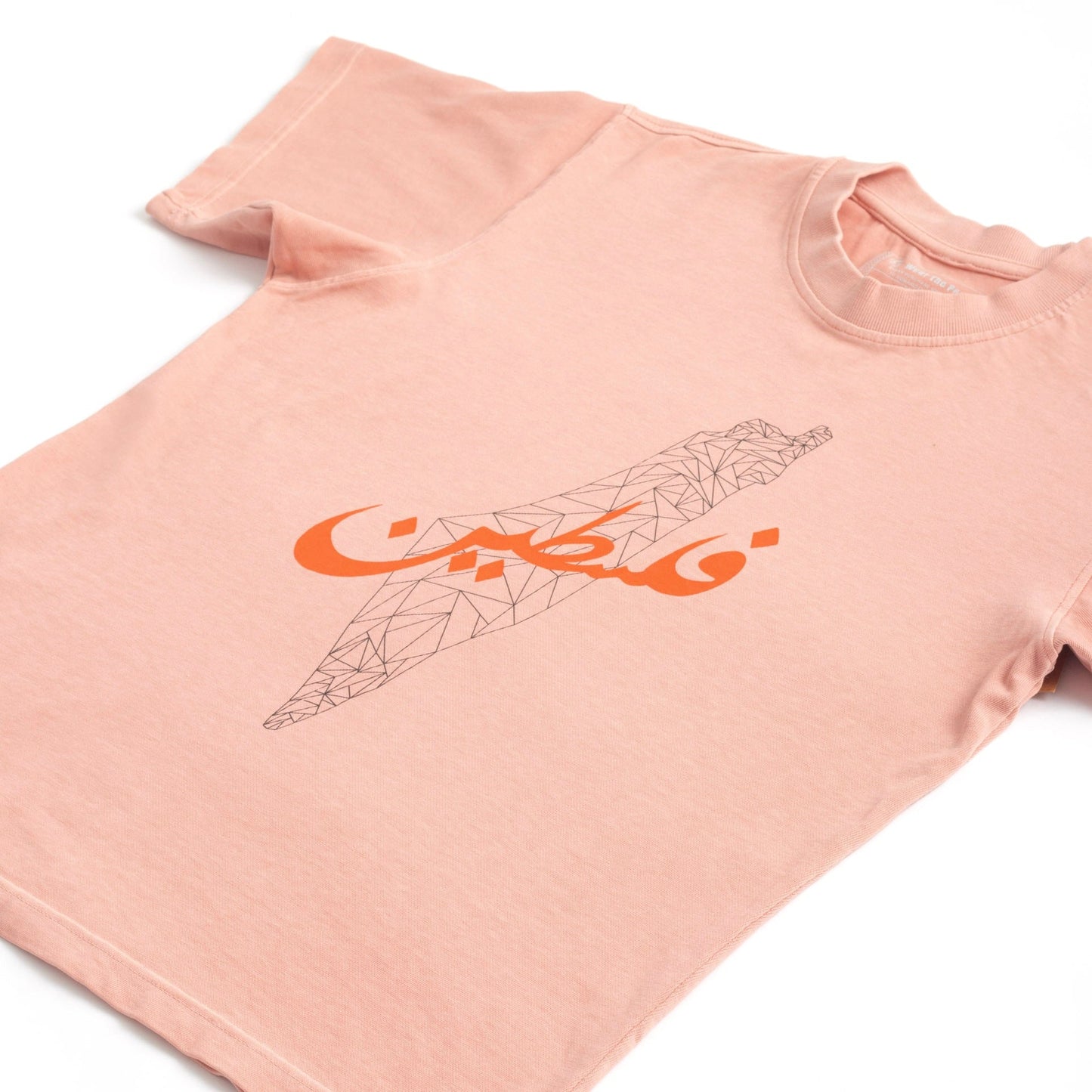 Palimetric Map Heavyweight Tee